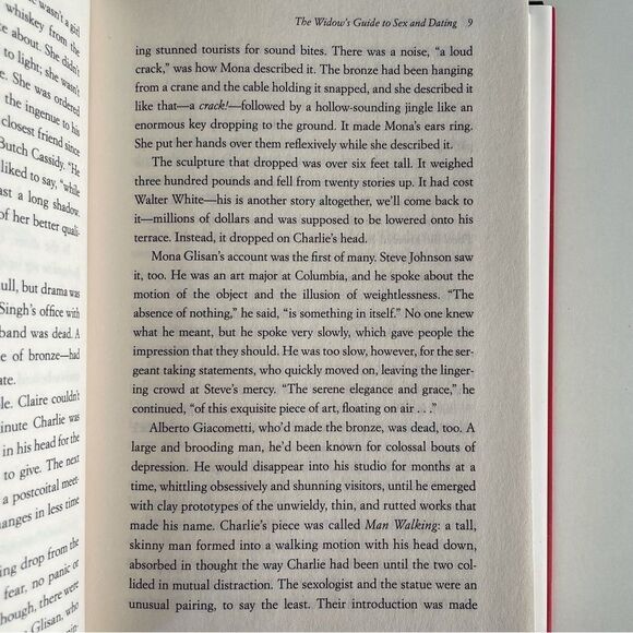 BOOK, The Widow’s Guide to Sex & Dating, a novel, 302 pages, Fiction, NOS - Picture 8 of 16